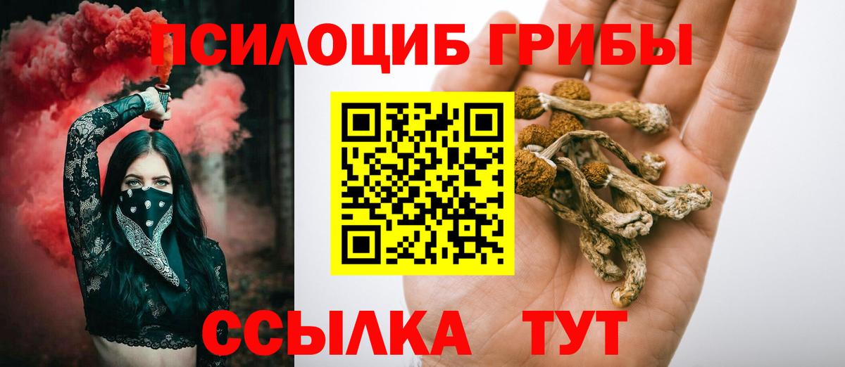 Партизанск  Галлюциногенные грибы мухоморы  как найти закладки  Вход с VPN 